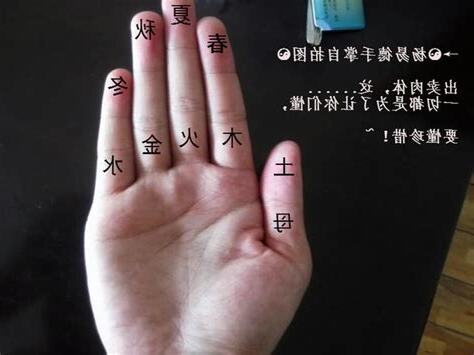 手指 五行